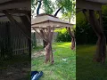 Pop up Gazebo from Big Lots