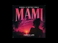 Hugel & Neton Vega - Mami (Franco Lippi Bootleg Remix)
