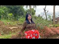 Download Lagu Hidup Di Desa, Nemenin Neng Putri Cantik Bercocok Tanam Di Kebun Belakang Rumah