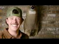 Dylan Marlowe - Deer on the Wall (Official Visualizer)