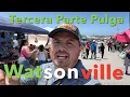 The Pulga of Watsonville