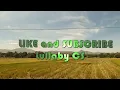 Download Lagu If Jesus Comes Tomorrow Lyrics 2020 (Lullaby CS_YSL)