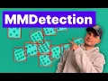 How to Use MMDetection Train RTMDet on a Custom Dataset