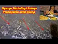 Download Lagu 2hari1 Malam Pasang Perangkap Mendekati M4ti Air Malah Panen Banyak Udang Langsung Masak Legendaris