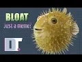What Is Software Bloat