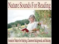 Soothing Rain With Distant Thunder