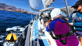Wild BAJA Sailing Life | GALES, Dolphins, & SHARKS!  – Ep. 97