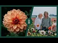 Download Lagu Dahlia Heaven: Famflowerfarm, de dahliakwekerij van Linda \u0026 Marlies I Angelo Dorny