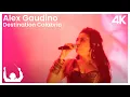 Download Lagu SYNTHONY - Alex Gaudino 'Destination Calabria' (Live at The Auckland Domain 2024) | ProShot 4K