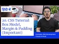 CSS Tutorial CSS Box Model Margin and Padding Web Development Tutorials