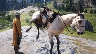 CUIDADO CON EL CABALLO | RED DEAD REDEMPTION 2