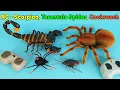 Download Lagu Scorpion, Tarantula Spider And Crawling Cockroach - Remote Control RC | Unboxing \u0026 Review