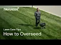 DIY Lawn Care Tips How to Overseed a Lawn
