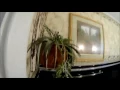 Real Living Solutions Bland Street Bluefield WV