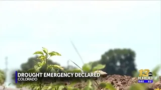 Colorado Governor declares statewide drought emergency
