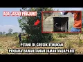 Download Lagu Viral‼️petani di gresik temukan penjara bawah tanah majapahit yang lagi heboh
