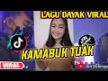 Download Lagu DJ KAMABUK TUAK II LAGU DAYAK TERBARU VIRAL II (Lirik/lyric )