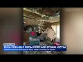NW Indiana storm damage victim pleas for help amid widespread recovery after trees destroy home