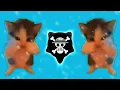 DJ KICAU KICAU KICAU MANIA SLOW VIRAL TIKTOK FULL SONG MAMAN FVNDY 2026