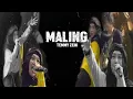 Download Lagu TEMMY ZEIN - MALING ( Video Lyrick Official )