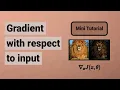 Gradient with respect to input in PyTorch FGSM attack Integrated Gradients
