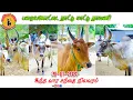Download Lagu PALAYAKOTTAI NATTU MATTU SANTHAI 20-07-2025