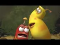Download Lagu Mushroom! | LARVA | Cartoons for Kids | WildBrain Happy
