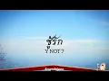 ชู้รัก - Y NOT 7 (เนื้อเพลง)