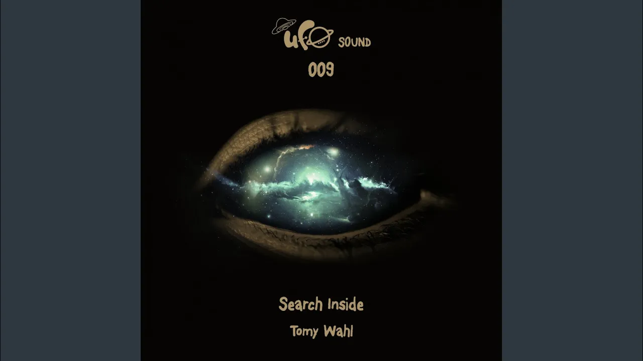 Search Inside (Original Mix)