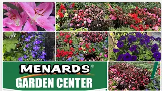 Menards Garden center A small glimpse of Menards Garden Center Best Garden Center