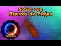Que Significa Sonar con Huevos de Piojos - Interpretacion de mi Sueno con Piojos