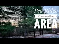 Free Camping in Missouri Pea Ridge Conservation Area review
