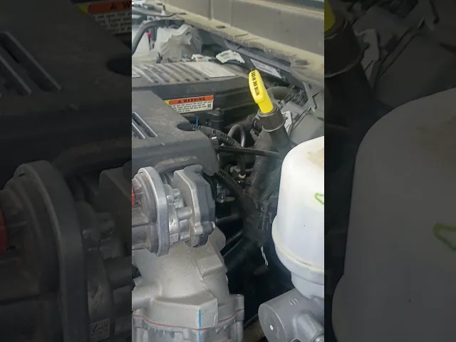View Video