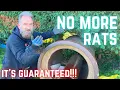 Lagu YOU DON'T NEED TO LIVE WITH RATS...even in the COUNTRYSIDE! RAT FREE LIFETIME GUARANTEE!!!