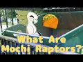 What Are Mochi Raptors Original Species