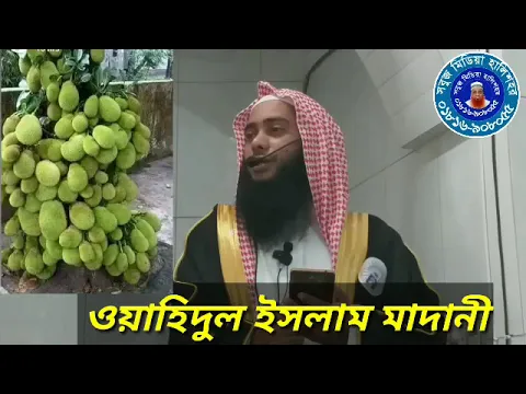 প্রকাশ্য পাপাচার ও গোপন পাপ জন সম্মুখে প্রকাশের ভয়াবহতা
