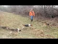 Rabbitdogs net Get Together 2025