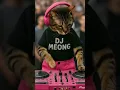 Download Lagu DJ Meong #1 #djmeong #catdance #kucinglucu #kucingjoged