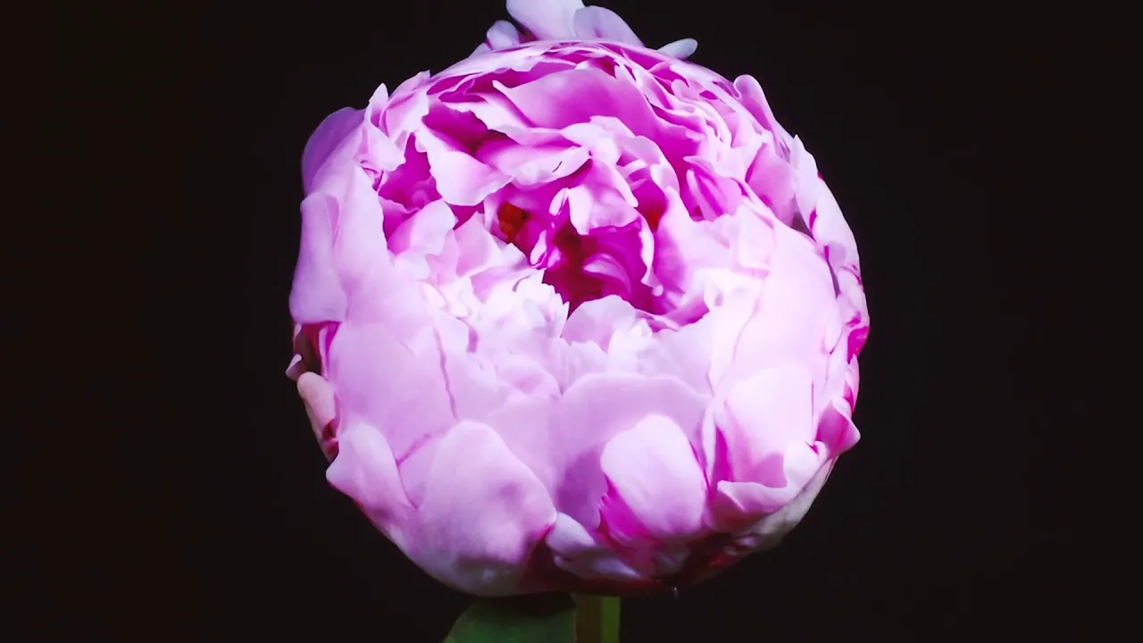 Broke One - Change Of Pace