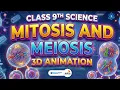 Mitosis and Meiosis 3D Animation Class 9 Science Educational Biology Animation