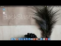 New BackSlash Linux - Elsa