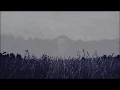 Download Lagu Gula  - Symbiosis (videoclip)
