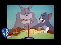 Download Lagu Tom \u0026 Jerry | The Peace Treaty | Classic Cartoon | WB Kids
