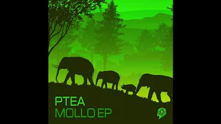ptea mollo original mix