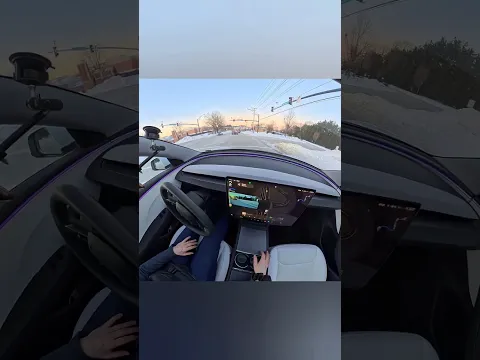 Tesla Smart Emargency Response #tesla #ytshorts