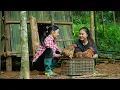 Download Lagu Gezonde kippen zijn een goede start voor May en de veehouderij van haar oma.