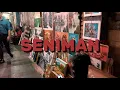 Download Lagu BALA ROMANTICA - SENIMAN (Official Lyric Video)