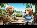 Miguelin and Paco go to have breakfast at Cafe Kaila in Honolulu Hawaii