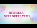 Shenseea - Sure Sure (Lyrics)