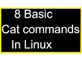 Basic Cat Commands in Linux
